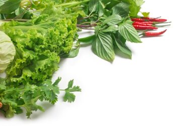 Fresh Connect by Fresh Point Co.,Ltd