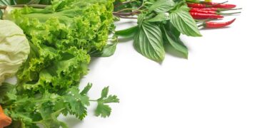 Fresh Connect by Fresh Point Co.,Ltd