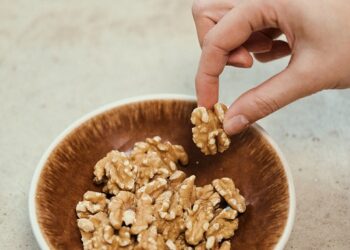 The Latest Gut Health Research and Uncovering the Role of Walnuts 