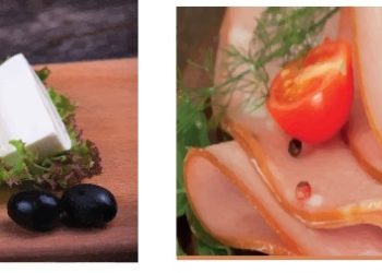 Food stabilizer systems : the engine of CARAGUM International®