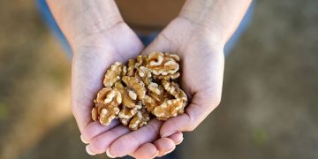 New Research Shows Potential Benefits of Swapping Some Meat Intake with Walnuts