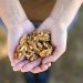 New Research Shows Potential Benefits of Swapping Some Meat Intake with Walnuts