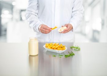 Stabilizing system for mayonnaise a hidden champion in food market