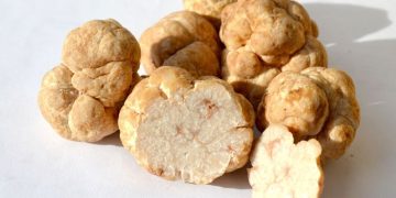 MycoTechnology’s Honey Truffle Sweetener Achieves New Technical and Safety Milestones on Accelerated Path to Market