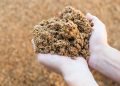 Blendhub and Hijos de Rivera launch the ImpacTaste platform to innovate in the food industry