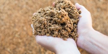 Blendhub and Hijos de Rivera launch the ImpacTaste platform to innovate in the food industry