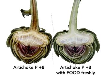 Food Freshly supports Italian food industry via nature-based shelf-life solution for key vegetable ingredients