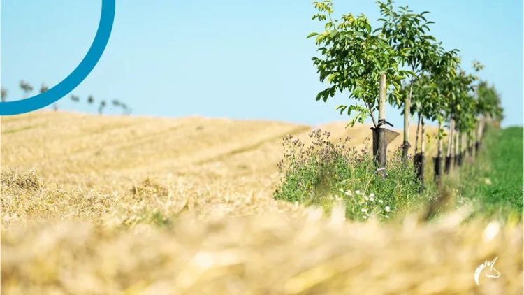 Sapore Lavida launch marks beginning of long-term Reg-AG partnerships for puratos