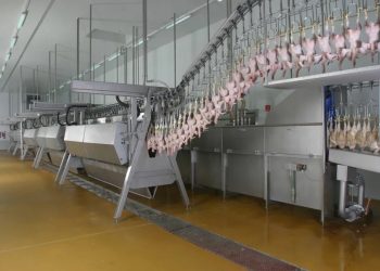 Marel’s hi-tech systems remain sustainable