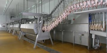 Marel’s hi-tech systems remain sustainable