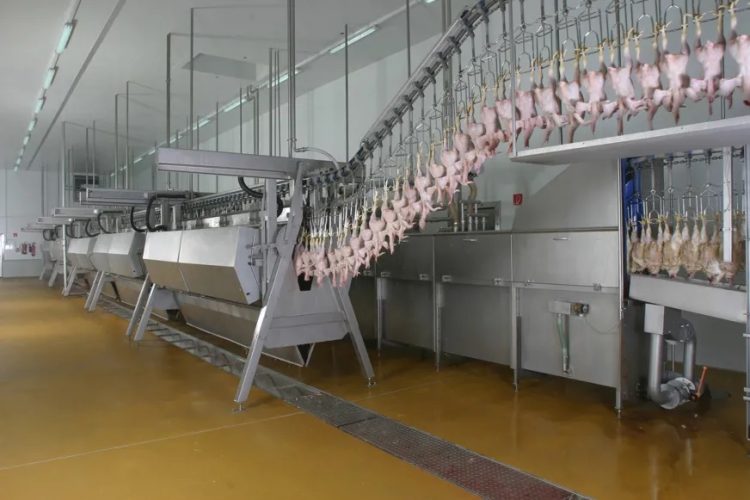 Marel’s hi-tech systems remain sustainable