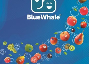 Blue Whale® ends season with record turnover