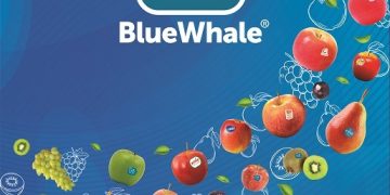 Blue Whale® ends season with record turnover