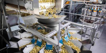ISHIDA ACCURACY AND RELIABILITY OPTIMISE PRODUCTIVITY AND ELIMINATE BREAKDOWNS FOR OLIVE PRODUCER