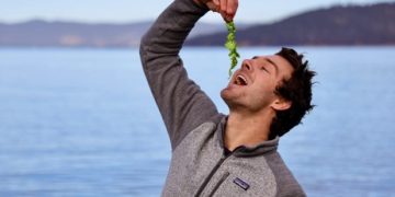 Drive Economic Resilience with Seaweed! – Southern Ocean Carbon open to Partnering in the Middle East