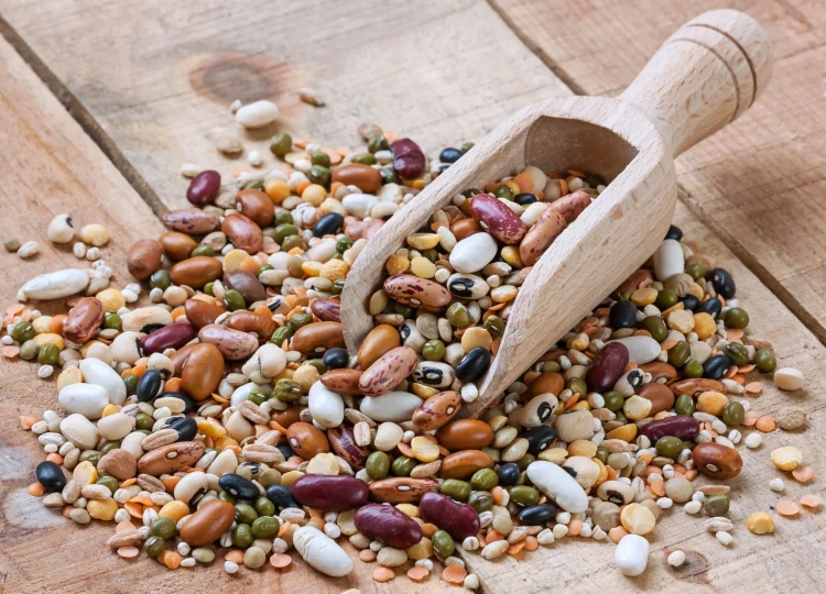 Louis Dreyfus Company Creates New Business Unit Dedicated to Pulses Merchandizing