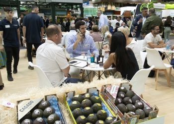 The avocado will be the star product at the next edition of Fruit Attraction