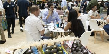 The avocado will be the star product at the next edition of Fruit Attraction