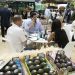 The avocado will be the star product at the next edition of Fruit Attraction
