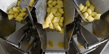 Increased efficiency and fast payback for Ishida’s Dumpling Solution