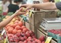 EIT Food and Foundation Earth to develop internationally adopted and accepted standards for the environmental scoring of food through new Alliance