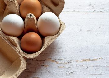 Cal-Maine Foods, Inc. announces new joint venture in egg products sector