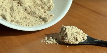 At Gulfood Green in Dubai, Concepta Ingredients presents a protein active ingredient that helps fight climate change