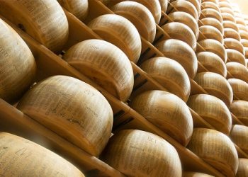 The 2023 accounts are positive for Dalterfood Group: Turnover increases to €159 million, with 85% from exports