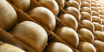 The 2023 accounts are positive for Dalterfood Group: Turnover increases to €159 million, with 85% from exports