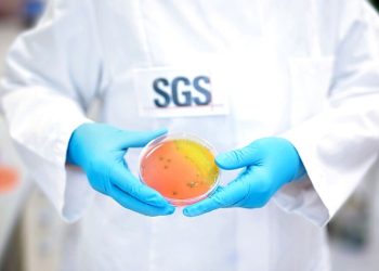 SGS to host webinar ‘Unlocking the Secrets of Food Safety: A Deep Dive into Microbiological Challenge Testing’
