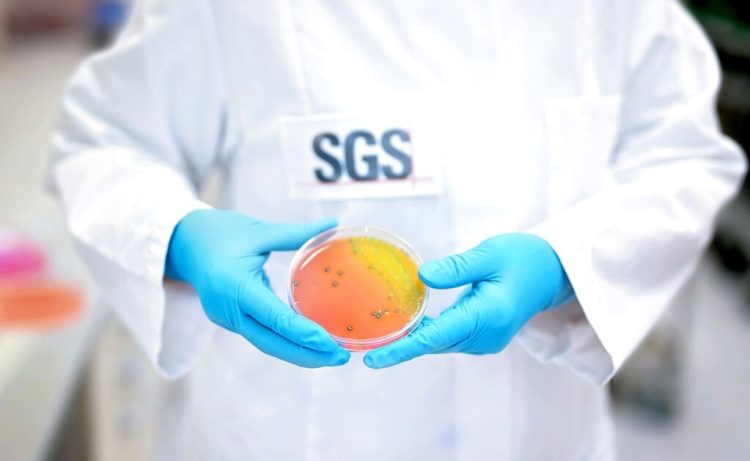 SGS to host webinar ‘Unlocking the Secrets of Food Safety: A Deep Dive into Microbiological Challenge Testing’