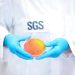 SGS to host webinar ‘Unlocking the Secrets of Food Safety: A Deep Dive into Microbiological Challenge Testing’