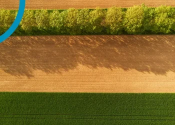 Puratos, Raffinerie Tirlemontoise and Beneo collaborate with Belgian farmers to launch joint climate farming project