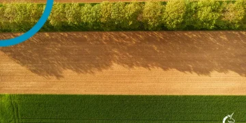 Puratos, Raffinerie Tirlemontoise and Beneo collaborate with Belgian farmers to launch joint climate farming project