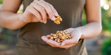 Research finds consuming walnuts during pregnancy significantly improved child neurodevelopmental outcomes at age two
