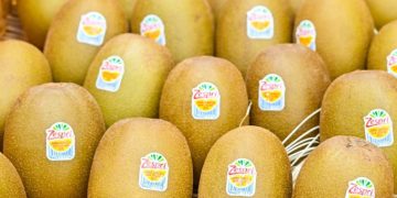 Sinclair & Zespri Innovative Compostable Fruit Label Certified by TÜV AUSTRIA,  ABA  and  DIN CERTCO