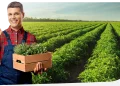 European Organic Food Takes Center Stage at Dubai and Abu Dhabi Fairs