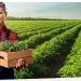European Organic Food Takes Center Stage at Dubai and Abu Dhabi Fairs