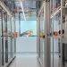 Tate & Lyle launches pioneering new automated lab in Singapore for mouthfeel solutions