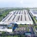 Myande Group – China Leading Provider of Turnkey Plant