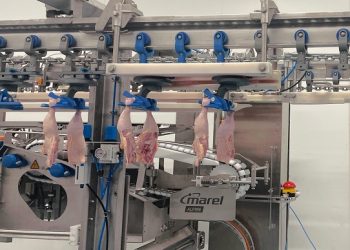 ALPINE reaches the top of anatomic leg processing
