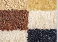 Sustainability at the Core of the “EUROPEAN RICE” Campaign