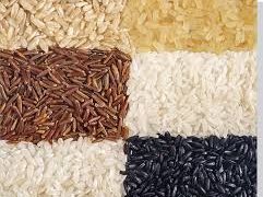 Sustainability at the Core of the “EUROPEAN RICE” Campaign