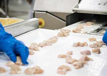 Transform food safety and traceability for your QSR production line