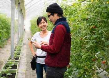 Seeding The Future Global Food System Challenge is Changing Lives: Winners Reflections