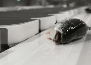 Marel and MMC First Process partnership delivers results