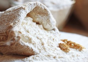 Millers for Nutrition Welcomes Bühler to Improve Nutrition for 1 Billion people across eight countries by 2026