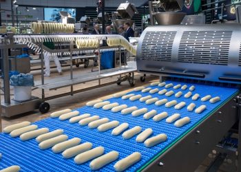IFFA 2025: technology leap for meat and protein processing