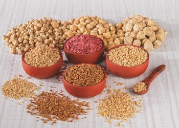 Non- GMO Soya Ingredients: Boon to Avoid Growing Diseases