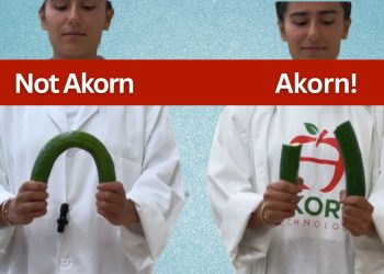 Cutting-edge cucumber coating could spell end to single-use plastic wraps on supermarket shelves